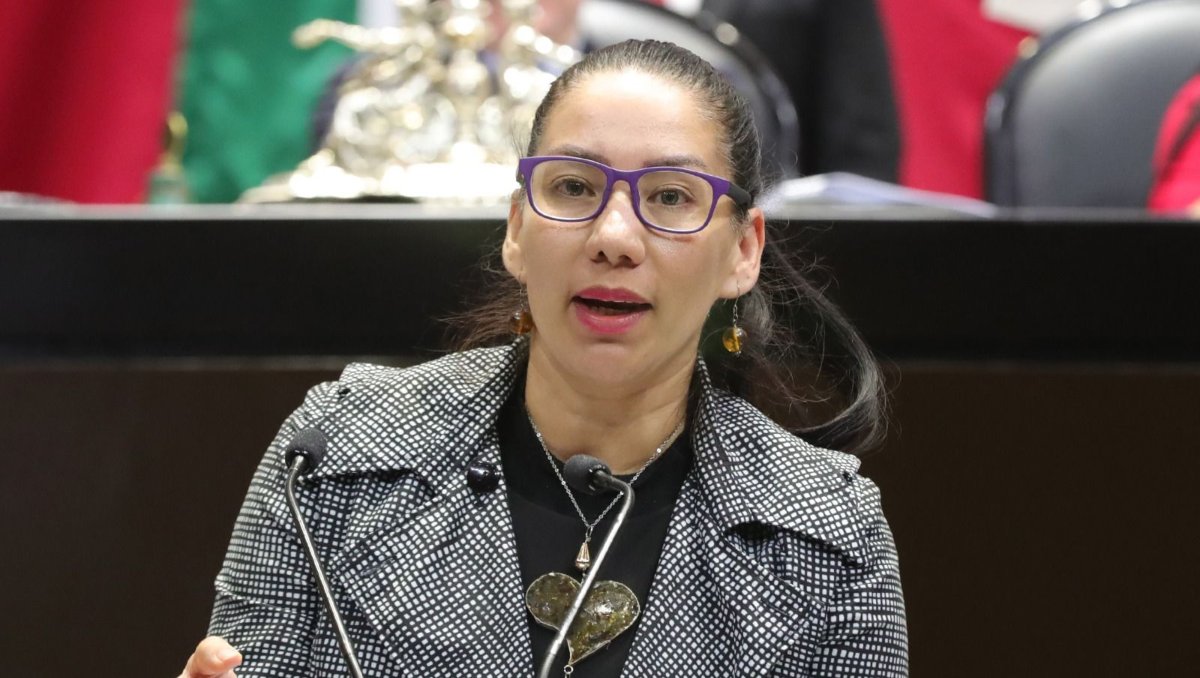 Olga Luz Espinosa Morales, diputada del PRD, presentó iniciativa de reforma | Especial