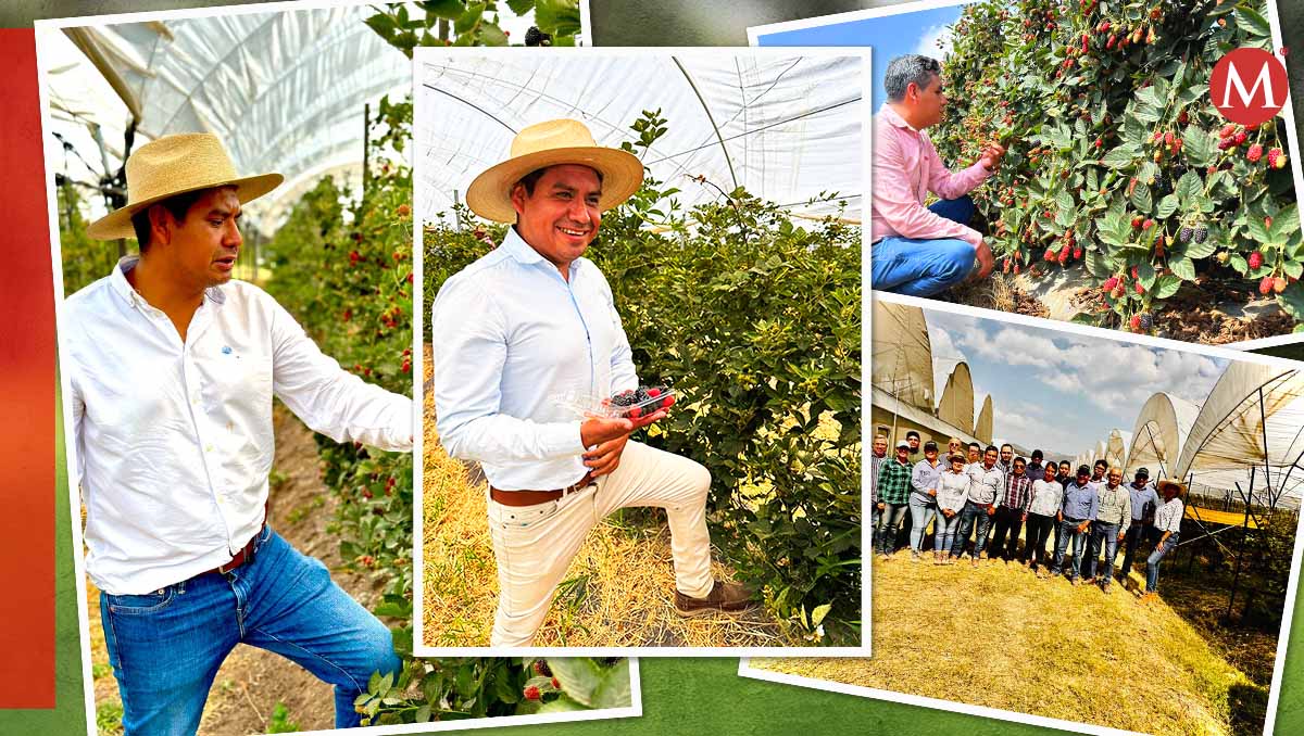 Geremías Rodríguez es egresado de la Universidad Autónoma de Chapingo con maestría en recursos genéticos y productividad fruticultural
