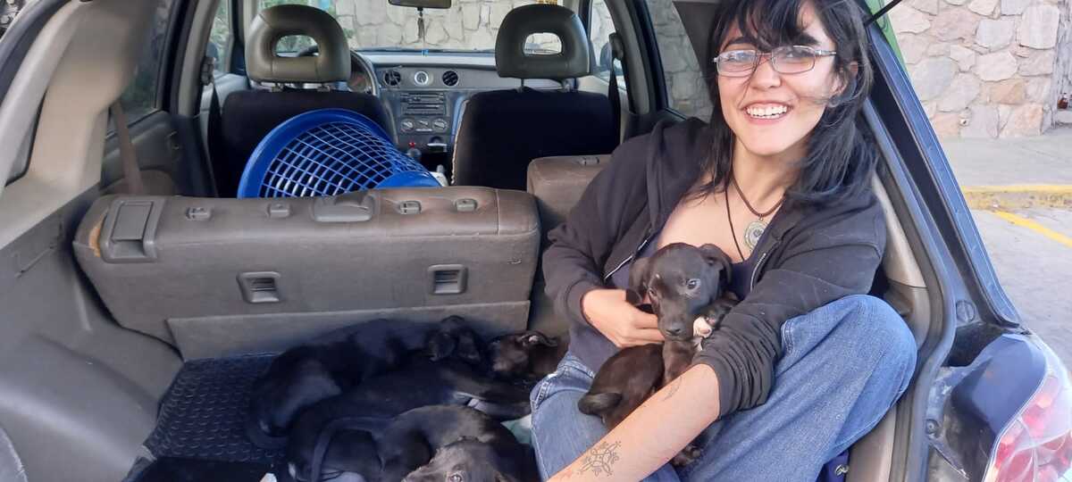 Los cachorritos se dan con contrato de adopción y a cambio Fernanda solo pide croquetas para poder seguir alimentando a la mamá