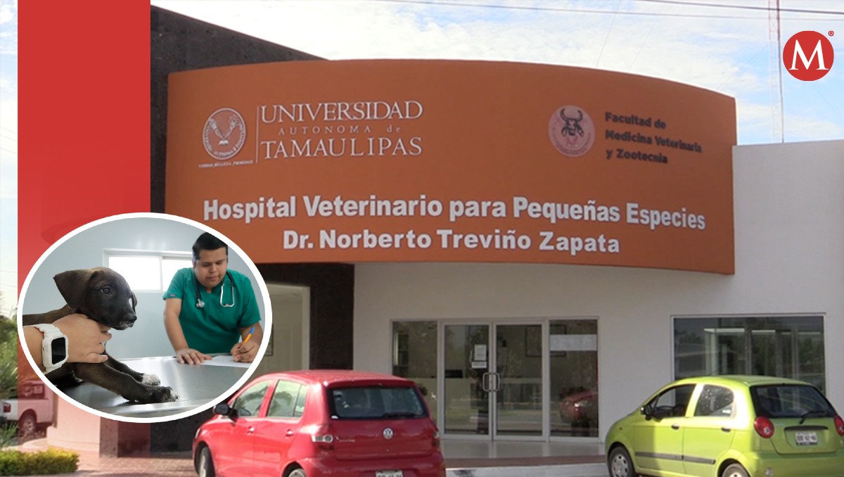Hospital veterinario de la Universidad Autónoma de Tamaulipas (UAT).