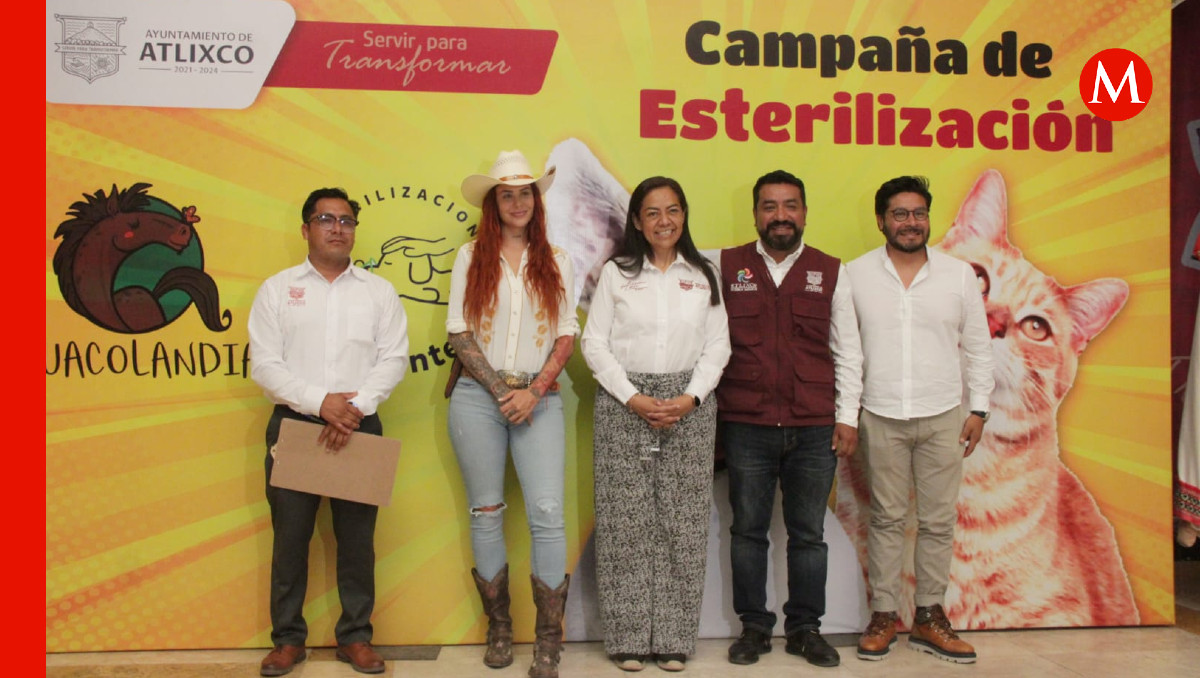 Programa Gratuito de Esterilización para Perros y Gatos |Alfredo Fernández