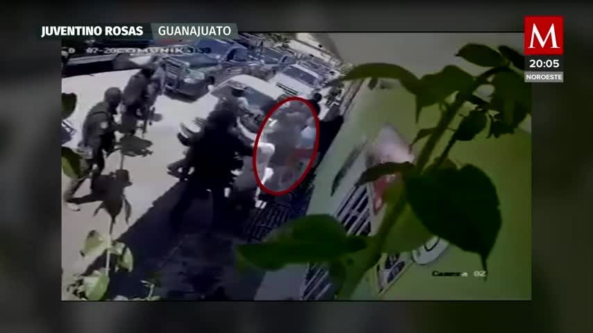 Riña en el centro de Celaya tras detenciones policiales: Últimas noticias