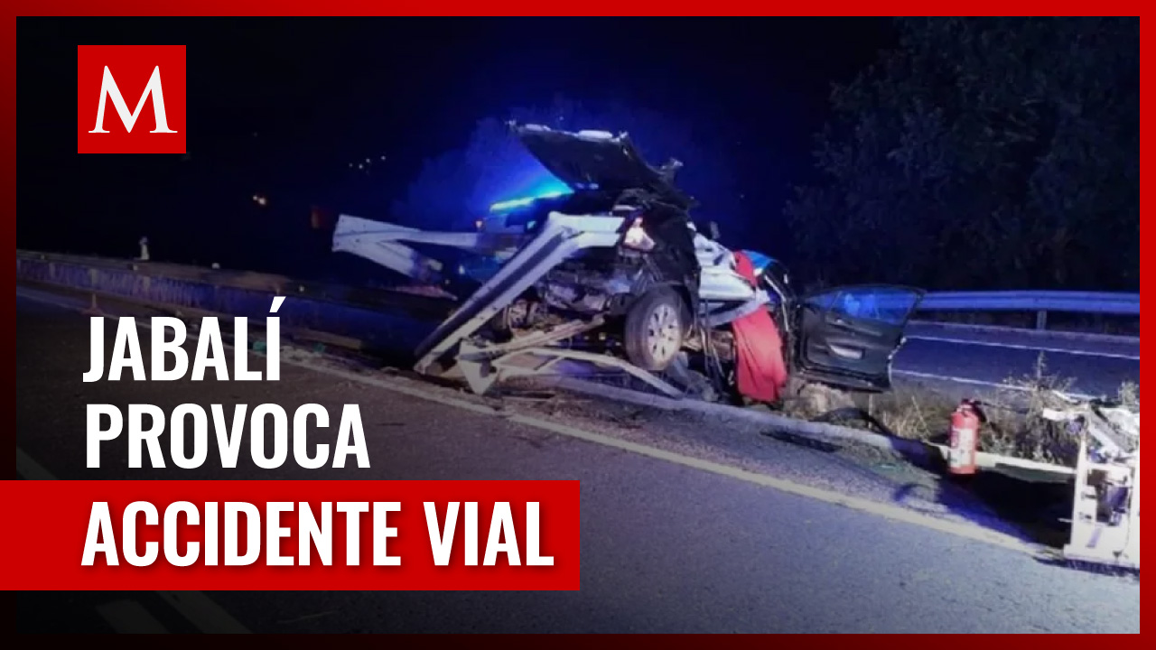 Jabalí provoca accidente de transito que deja dos muertos