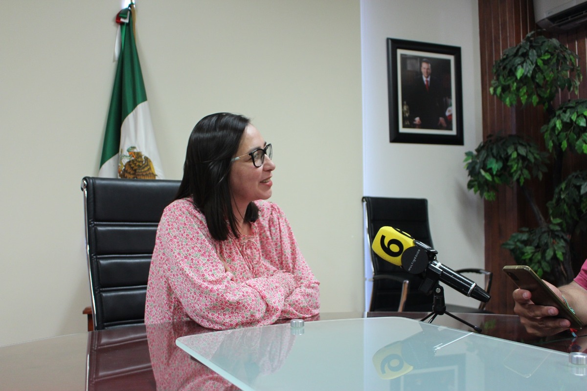 La secretaria de Contraloría, Tania Hernández. | Especial