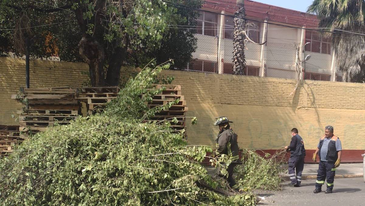 Vecinos de la Avenida Coltongo se quejaron de la presencia de tarimas. (Especial)