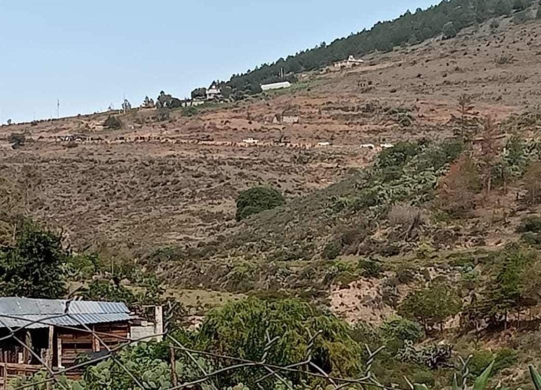 Enfrentamiento armado entre policías estatales y delincuentes en localidad de Cerro Verde, Cuautepec de Hinojosa  (Wendy Salazar)