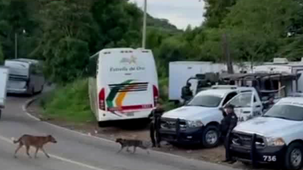 Liberan la carretera Acapulco-Zihuatanejo en Guerrero, estuvo bloqueada casi 36 horas por comuneros