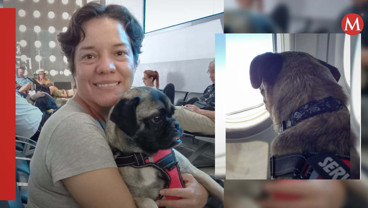 Sandra logró llevar consigo en cabina a Ivanovich pese a a varios requisitos (Diana Barajas)