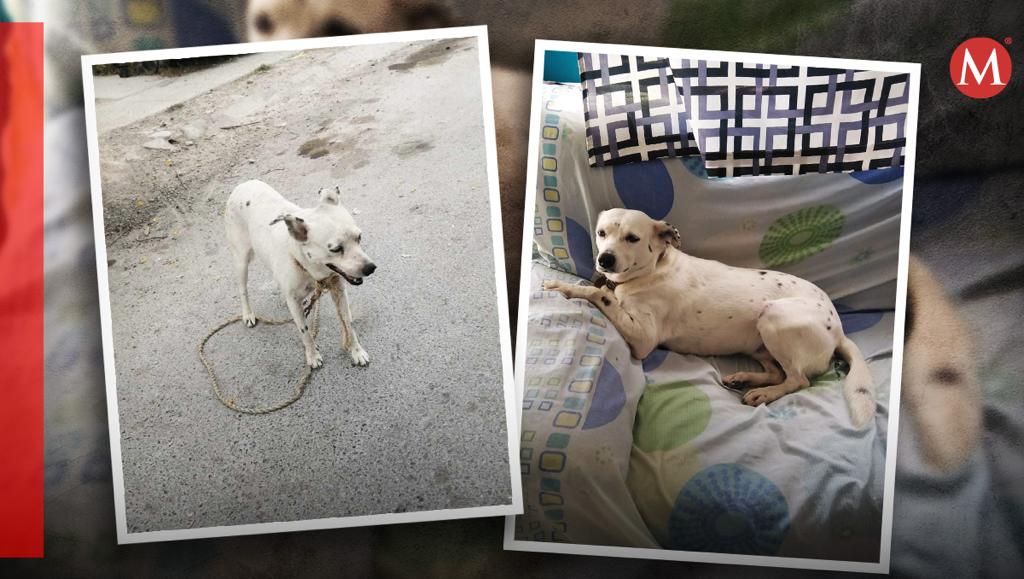Güera volvió con su familia después de dos años de ausencia| Especial