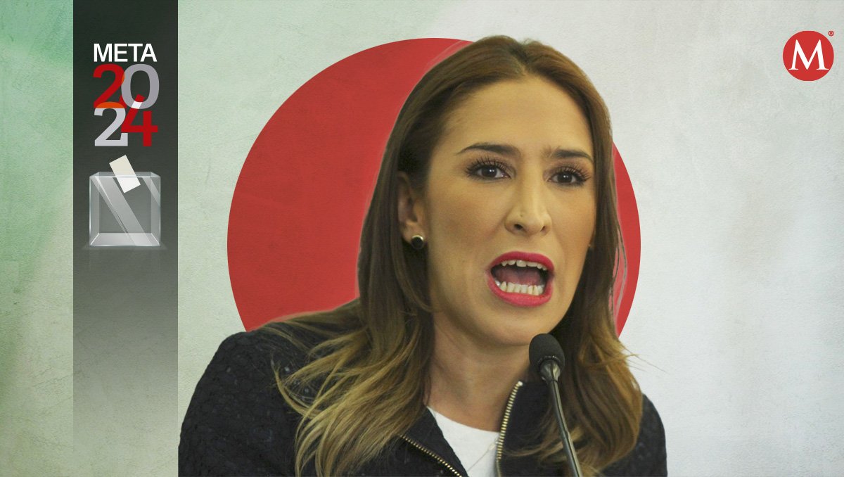 La ex diputada dijo que le gustaría ser "la voz de la oposición".