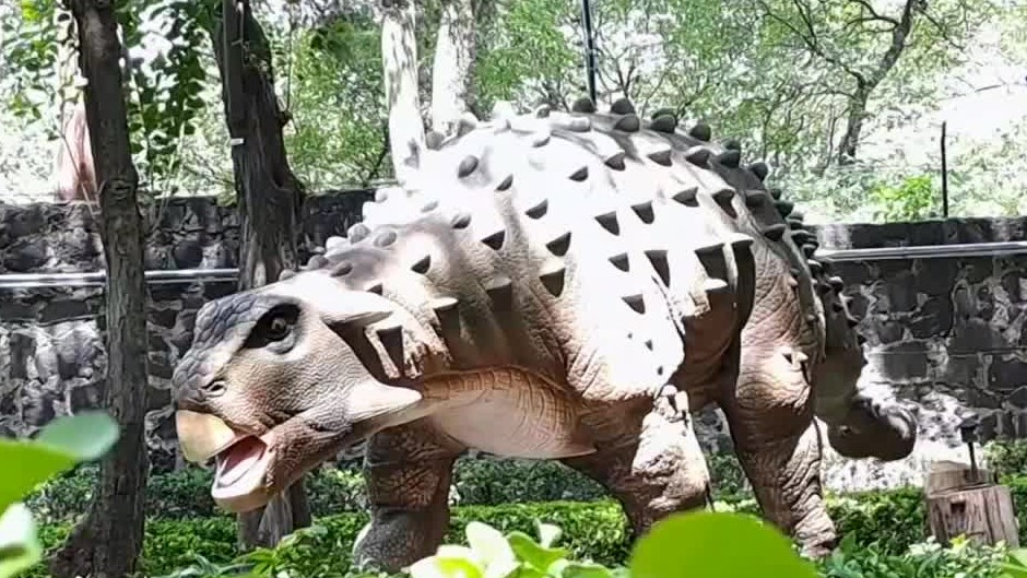 Investigadores indagan sobre los rastros evolutivos de los dinosaurios