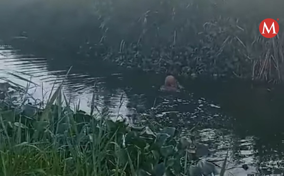 Mujer se mete a bañar en laguna de Altamira.