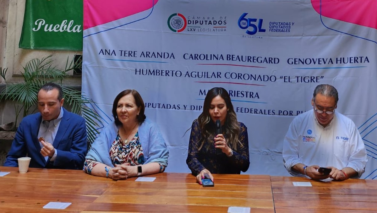 PAN Puebla pedira comparecencia de ASE por hoyos financieros | Especial
