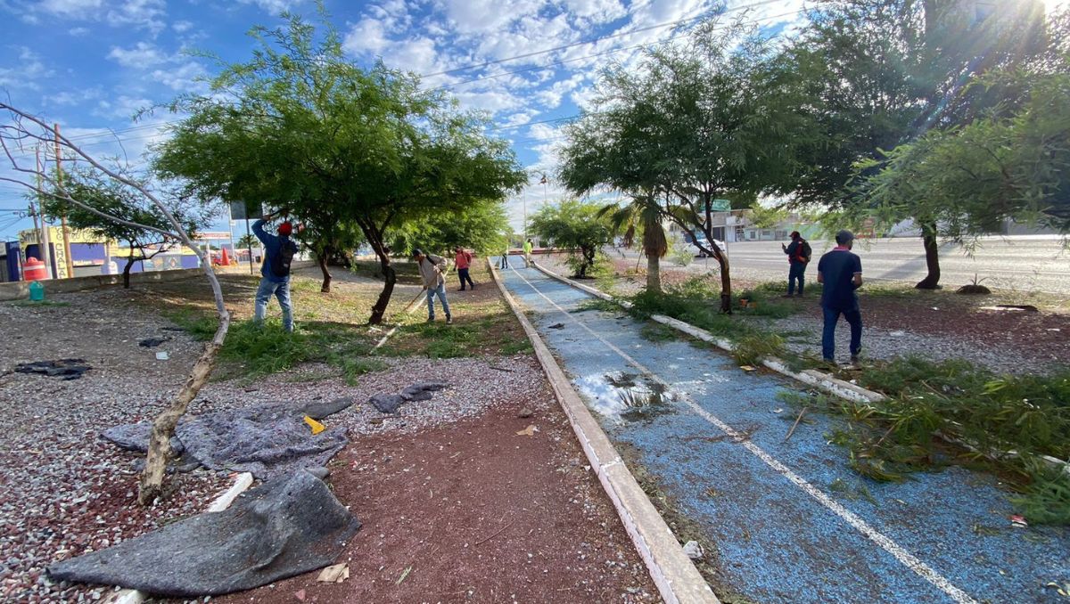 A través del Departamento de Parques y Jardines, se ha realizado una intensiva labor de limpieza durante el primer año de gobierno. (Especial)