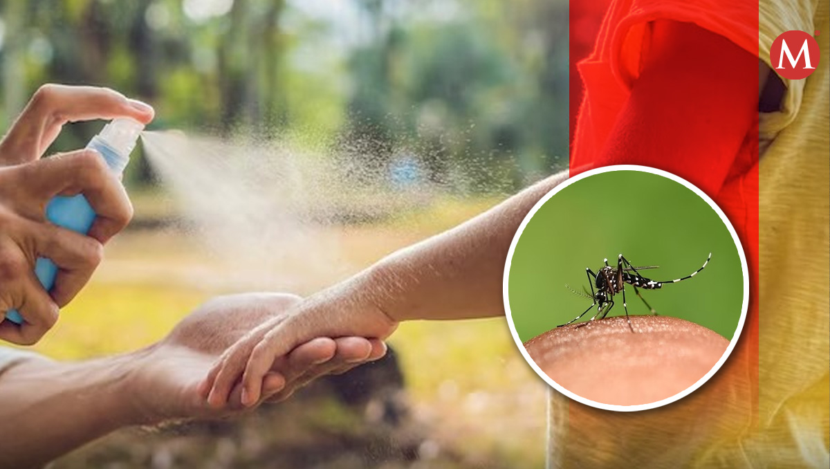 Casos de dengue  | ARCHIVO