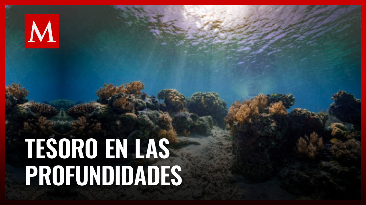 Tesoro Biológico en Abismo Hawái-México