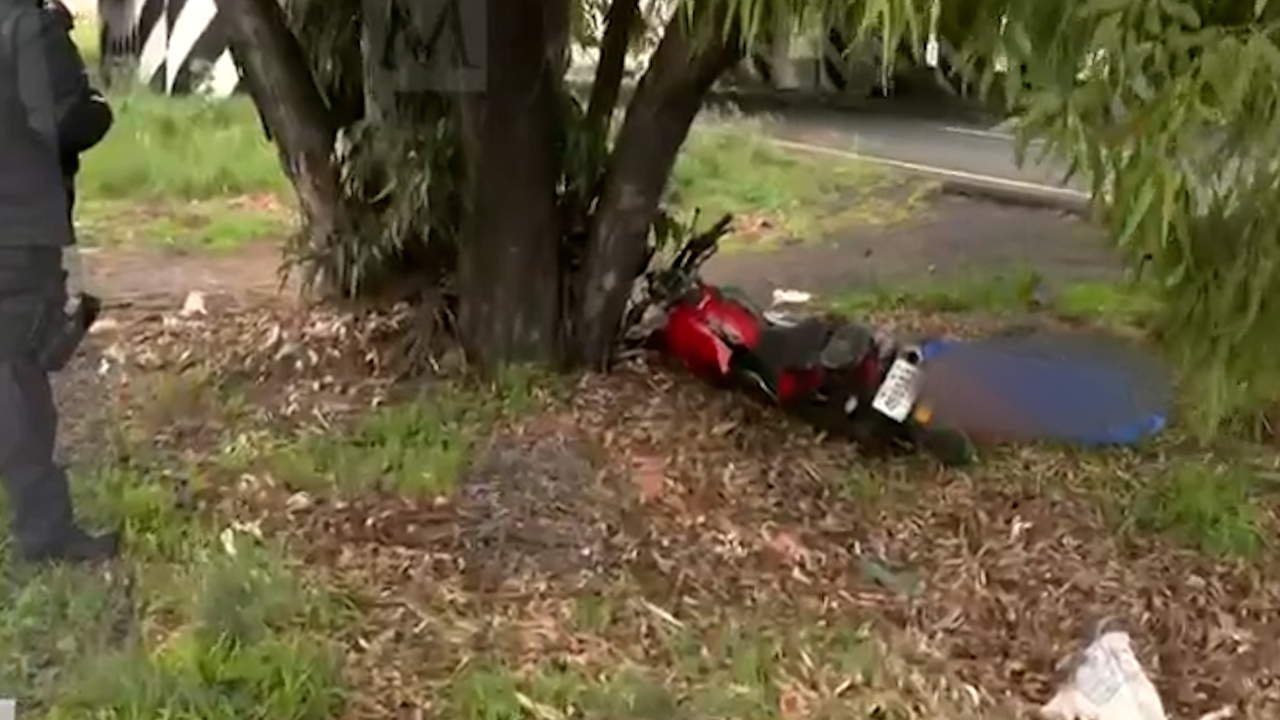 Muere motociclista en la México-Pirámides, se estrelló contra un árbol