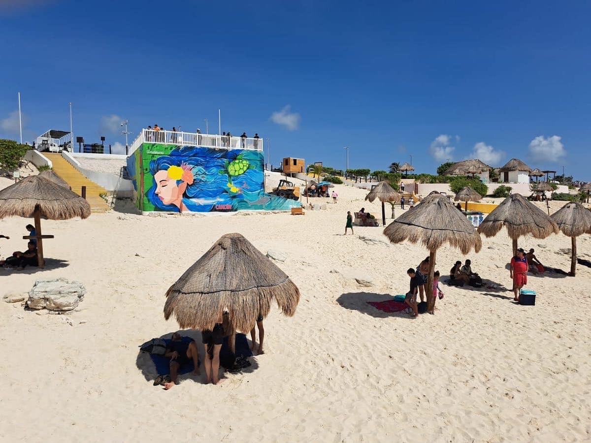 Playa Delfines alberga un delicado ecosistema que equivale al 8.1 por ciento de la biodiversidad de Quintana Roo