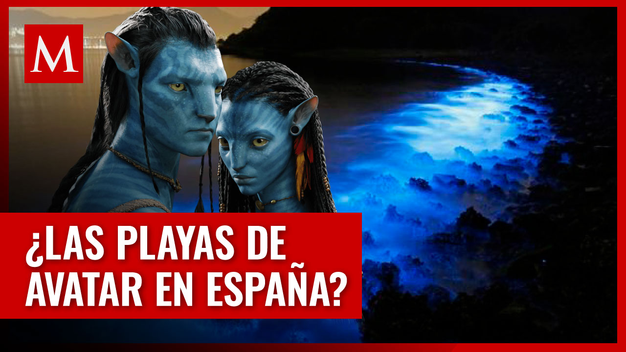 ¿Vas de vacaciones? Éstas playas se iluminan como en una película de Avatar