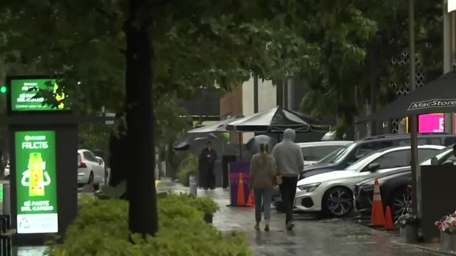 Fuertes lluvias dejan inundaciones hasta árboles caídos en varios puntos de la Ciudad de México