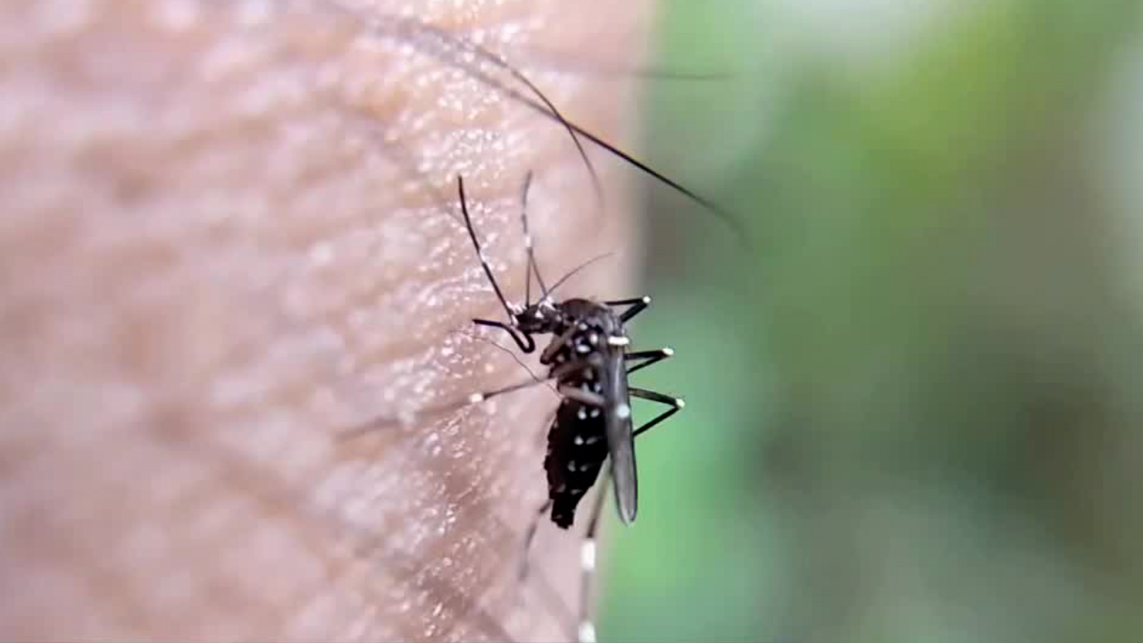 Atlas de Enfermedades Infecciosas; UNAM trabaja en red de enfermedades de acceso público