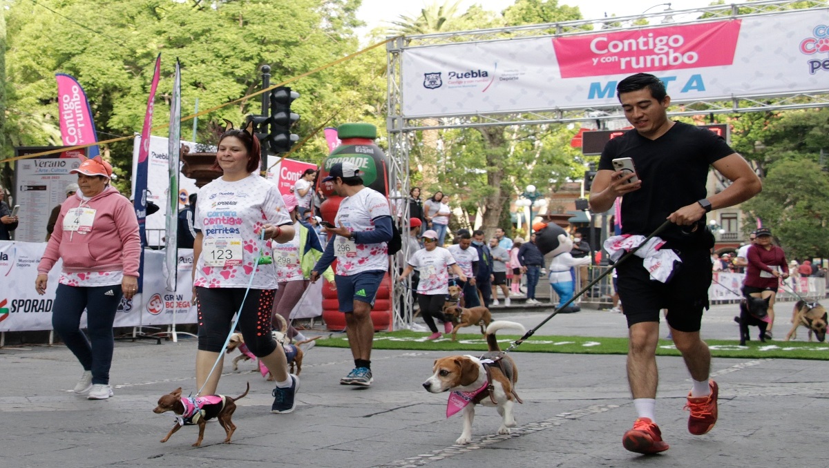 Compiten lomitos y dueños en carrera contigo y tus perritos en Puebla | Agencia Enfoque