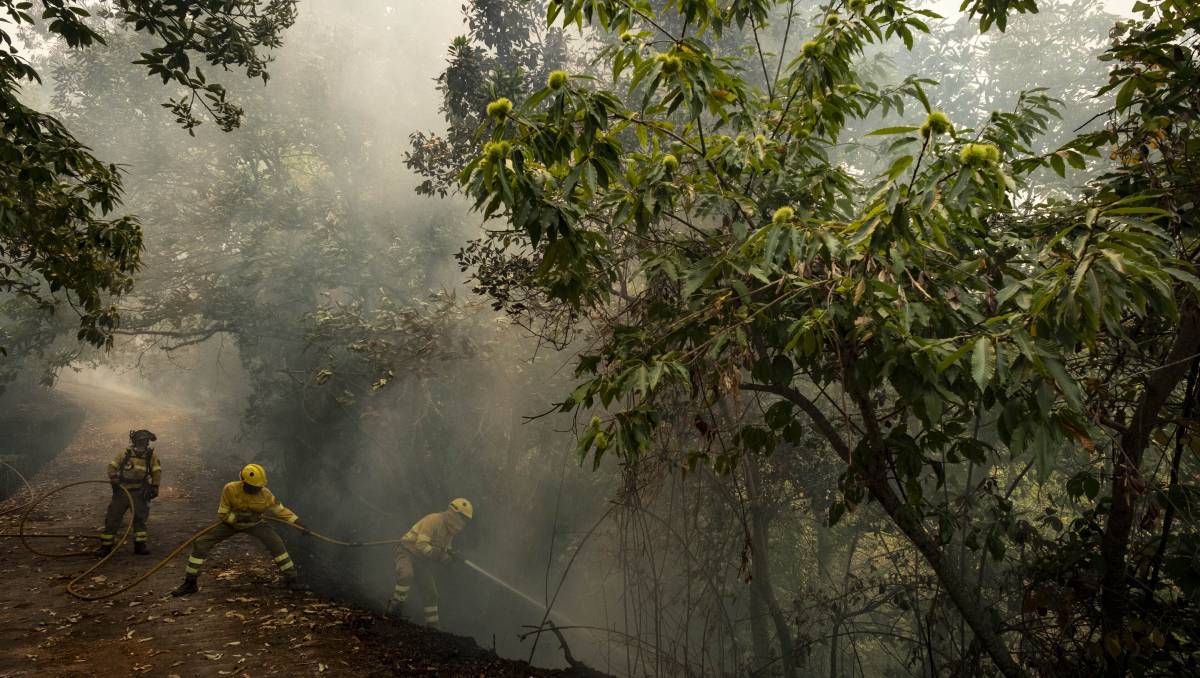 Incendio en la isla Tenerife, España | AP