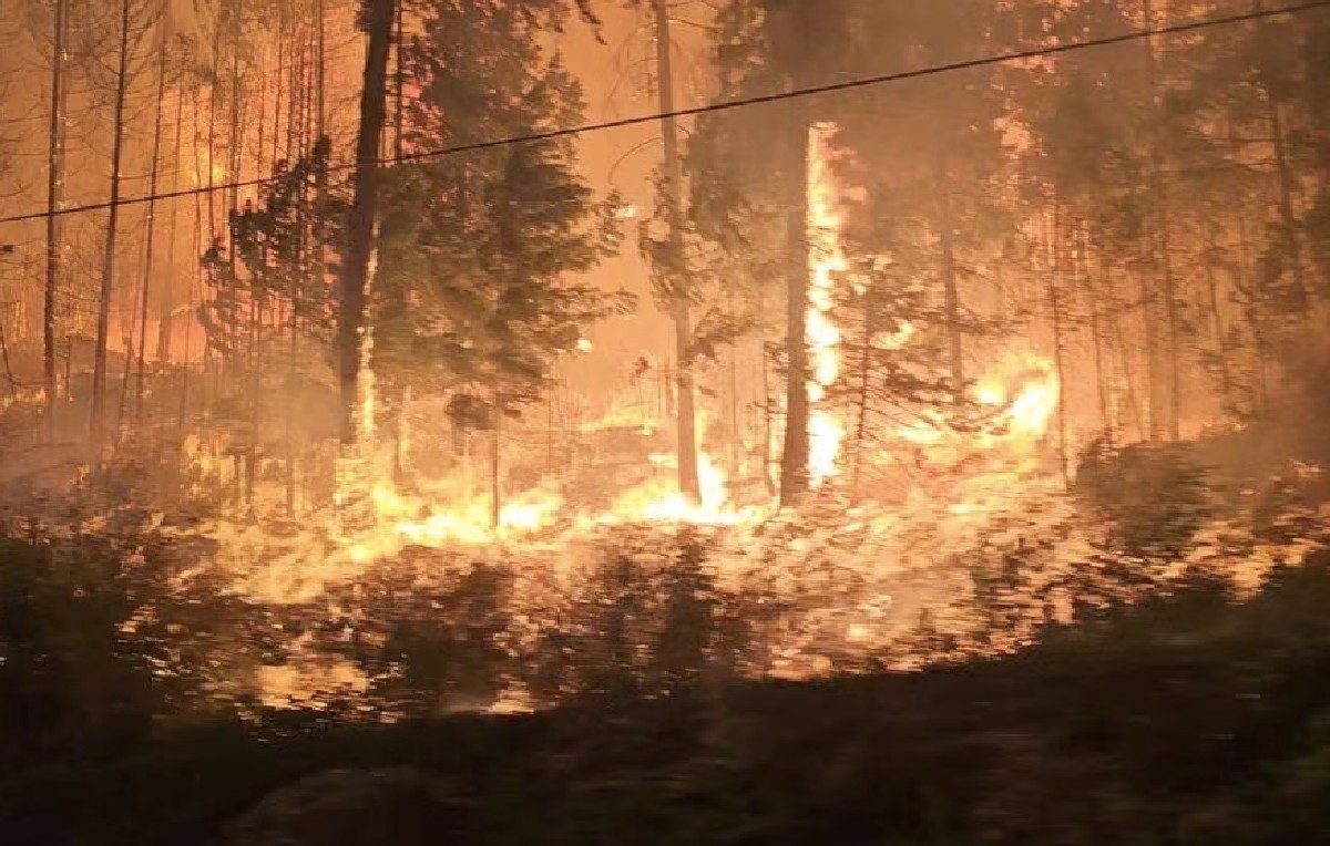 Incendios en Columbia Británica (Reuters)