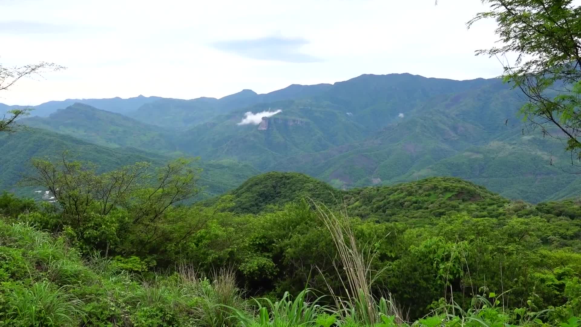 Los tesoros de la Sierra de Álica | Conexión Milenio