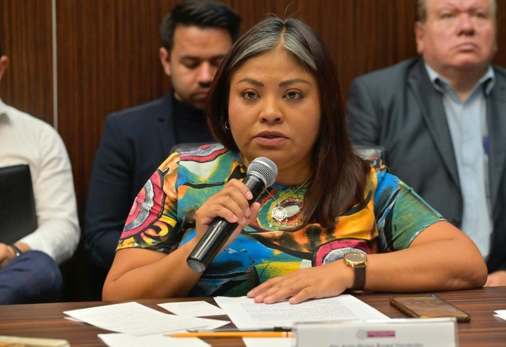 La diputada Anaís Miriam Burgos.| Foto (Especial)