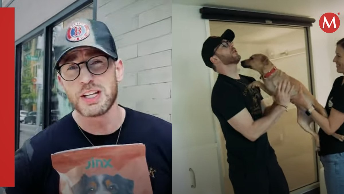 Chris Evans visita albergue de perritos | Captura