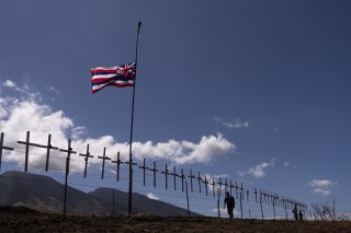 Hawai pide muestras de ADN para identificar a víctimas de incendios | AP