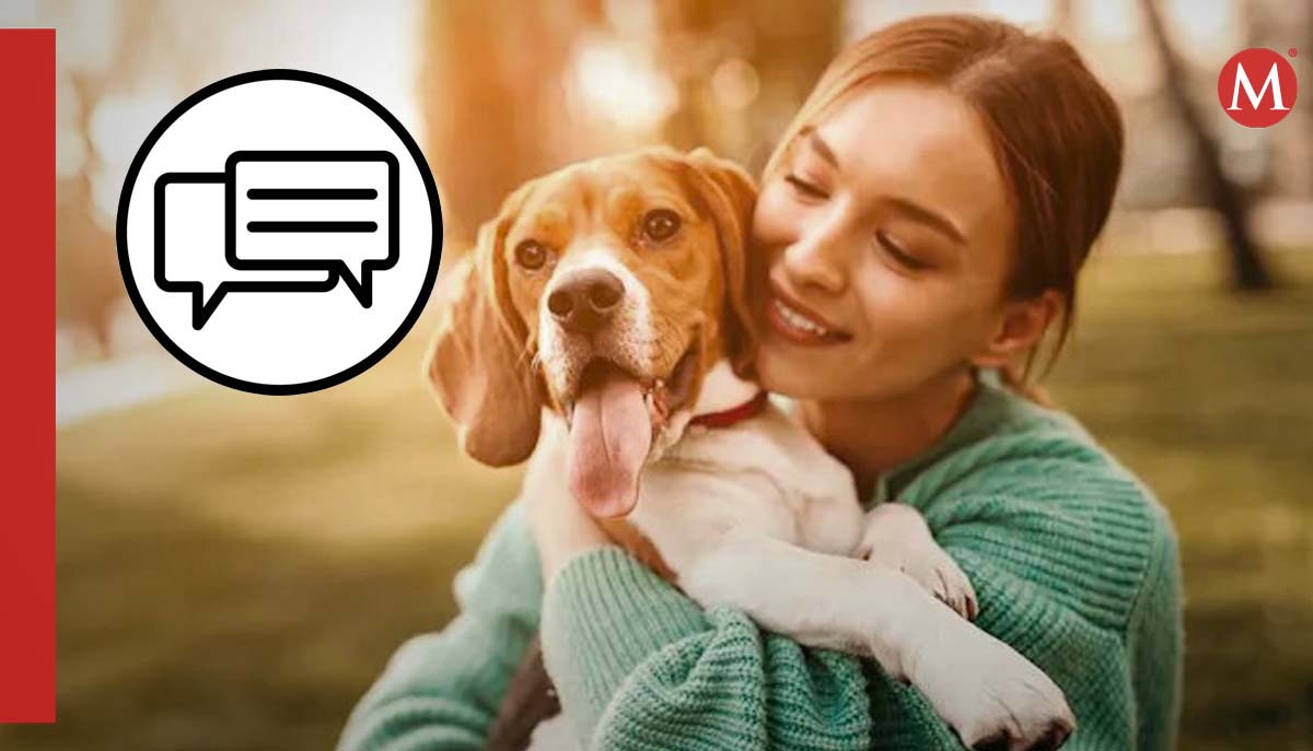 El reciente estudio sugiere que los perros responden a frases cortas | MILENIO