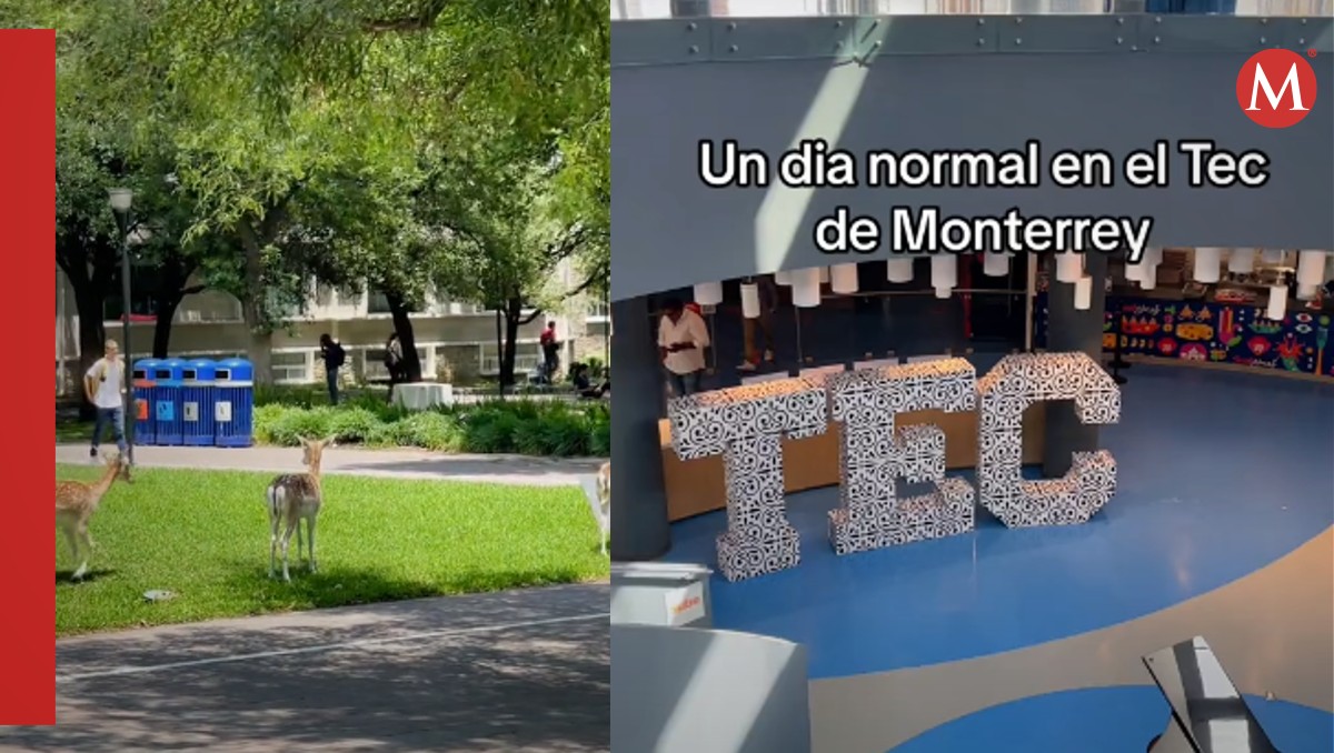 Cómo es estudiar en el Tec de Monterrey / Captura