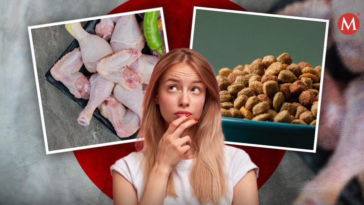 ¿Cuál es la mejor dieta para nuestras mascotas?