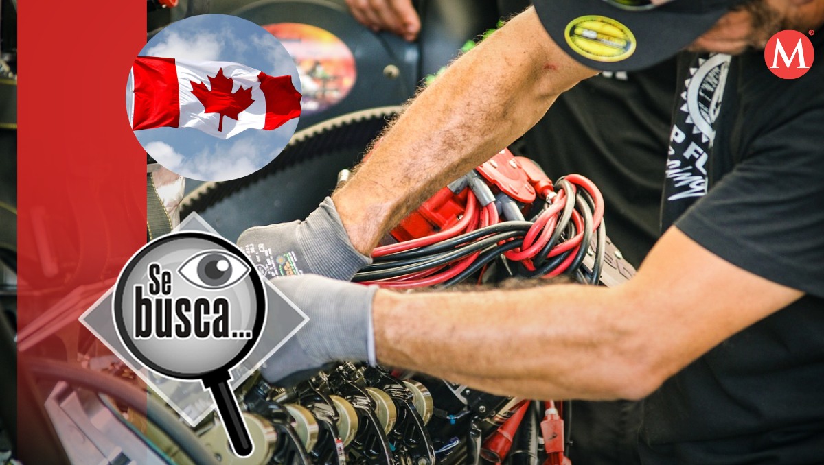 Empresa canadiense que busca a mexicanos para trabajar como mecánicos. Foto: (Pixabay)