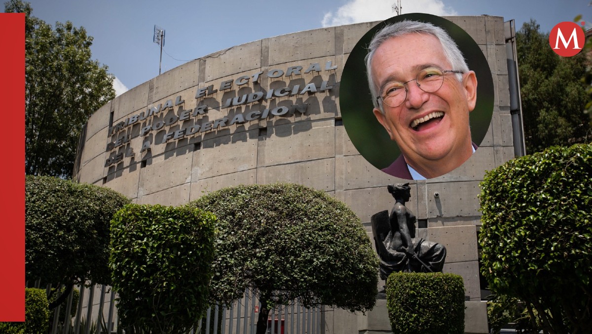 Salinas Pliego impugnó las medidas del INE. (Especial)