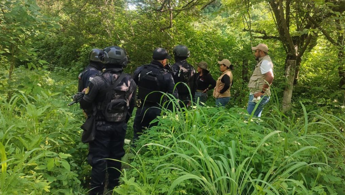 Autoridades desplegaron un operativo de búsqueda en Juan R. Escudero. | SSP Guerrero