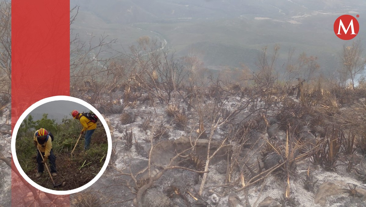 Brigadistas mitigan incendio forestal en la serranía de Jaumave