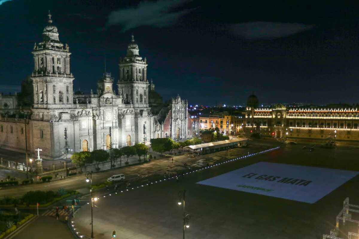 Greenpeace exige que se realicen más investigaciones del ecosistema marino previo a la construcción del gaseoducto. (