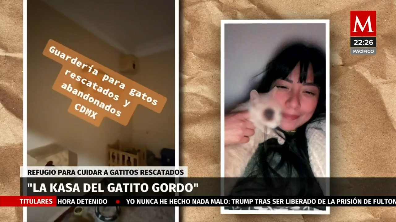La Kasa del gatito gordo' | Solo por ayudar