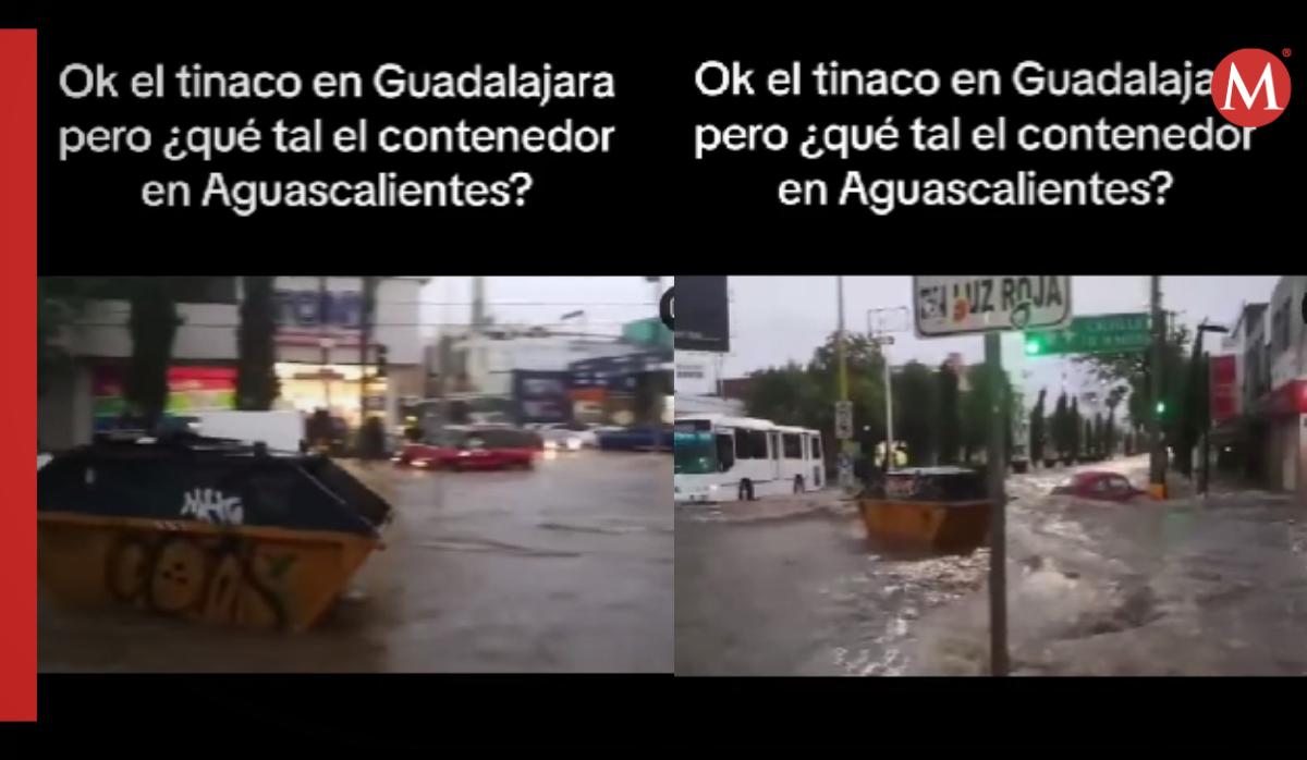 Contenedor se vuelve viral / TikTok