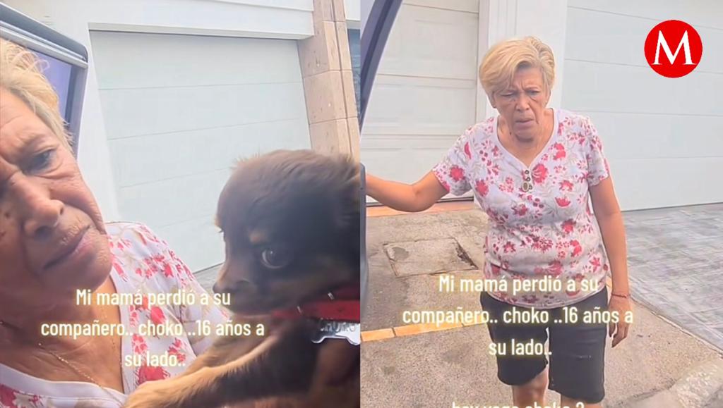 El lomito de tan sólo dos meses tenía un gran parecido con la mascota fallecida de la mujer.