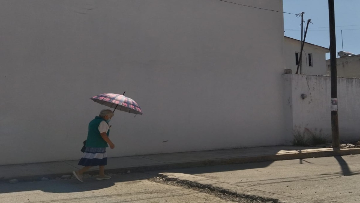 Viven en pobreza la mitad de los adultos mayores en Puebla: Coneval | Jaime Zambrano
