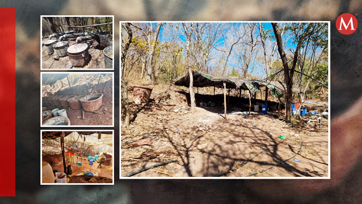 Desmantelan cinco narcolaboratorios en Culiacán, Sinaloa | Especial