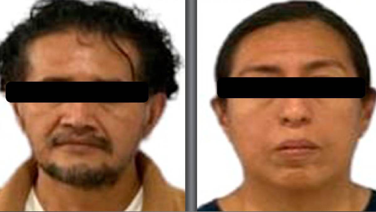 La pareja fue vinculada a proceso por el delito de maltrato animal. (Especial)