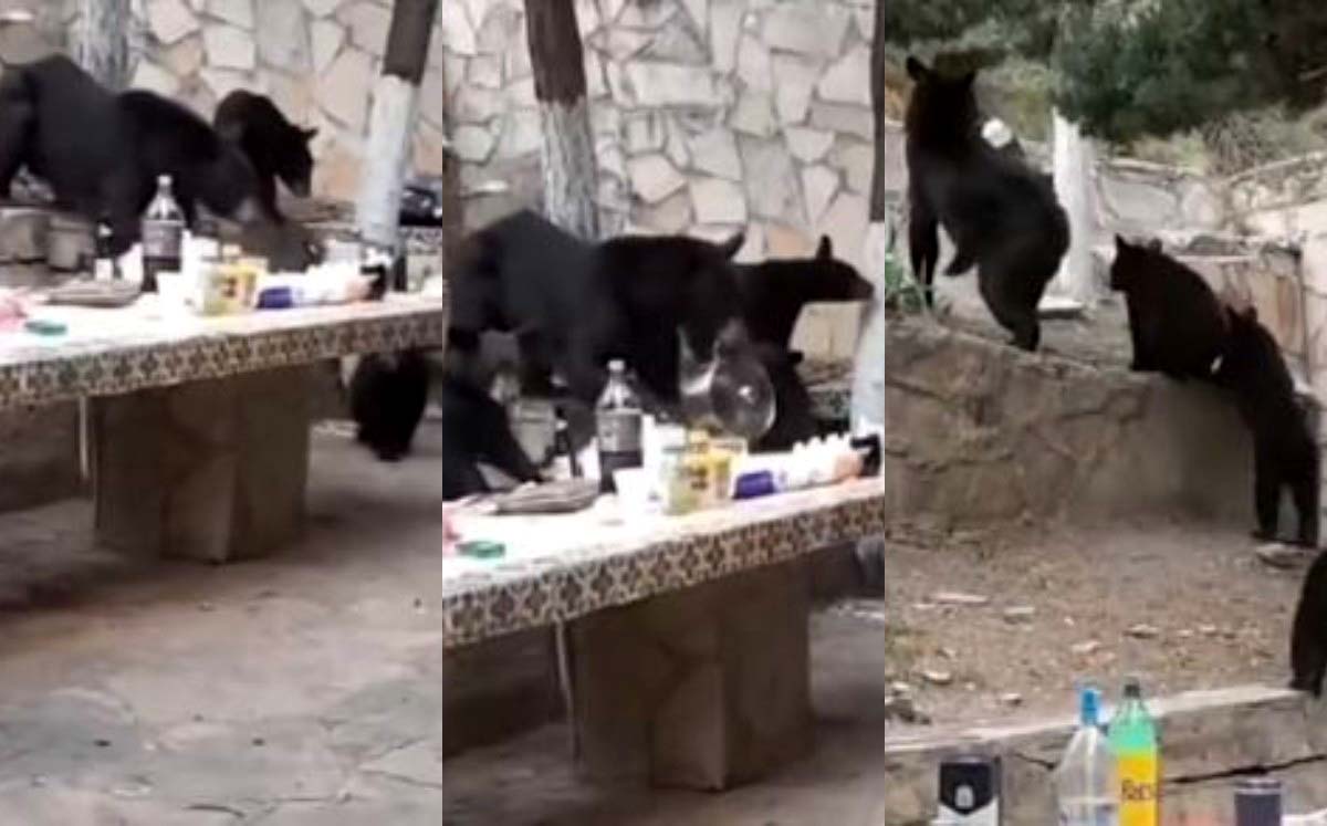 El momento fue captado en video y publicado en redes sociales. (Cortesía)