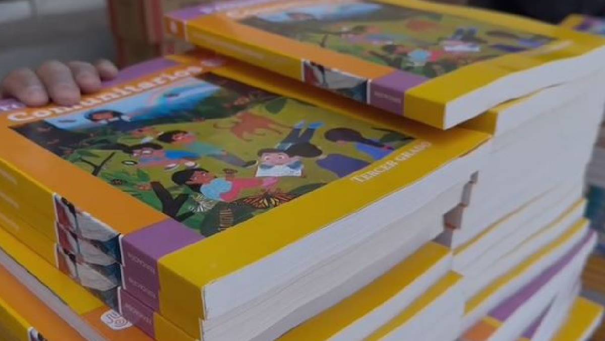 Los nuevos libros de texto. (Especial)