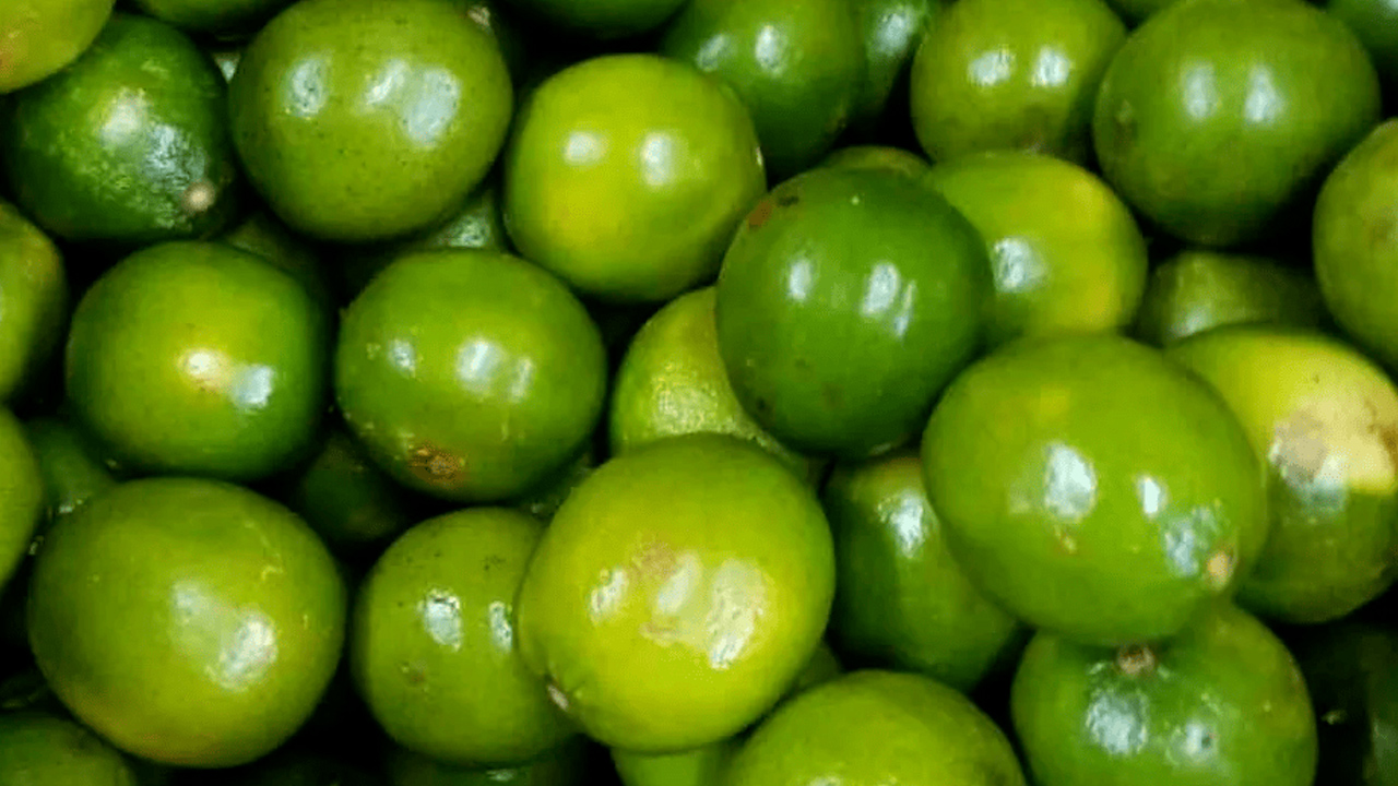 Seis de siete municipios productores  de limón en Michoacán operan con normalidad