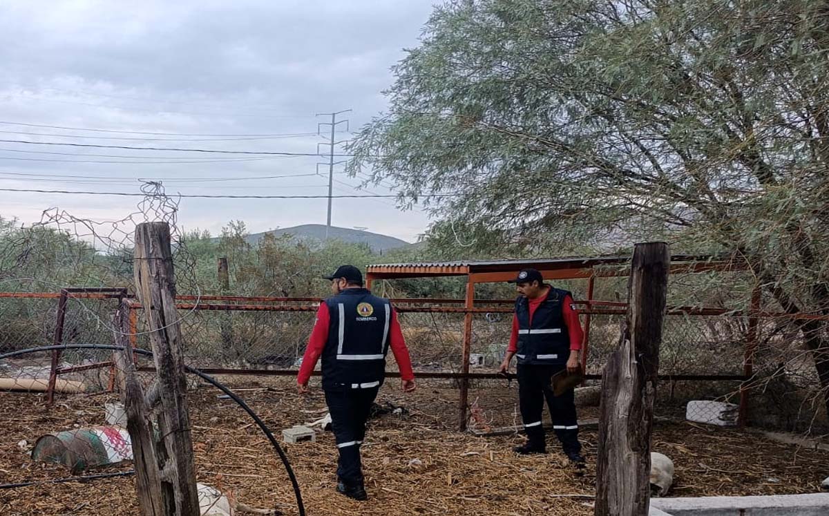 Protección Civil supervisó el lugar. (Especial)